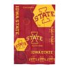 Iowa State Collegiate NCAA "Hexagon" Twin Comforter & Sham Set